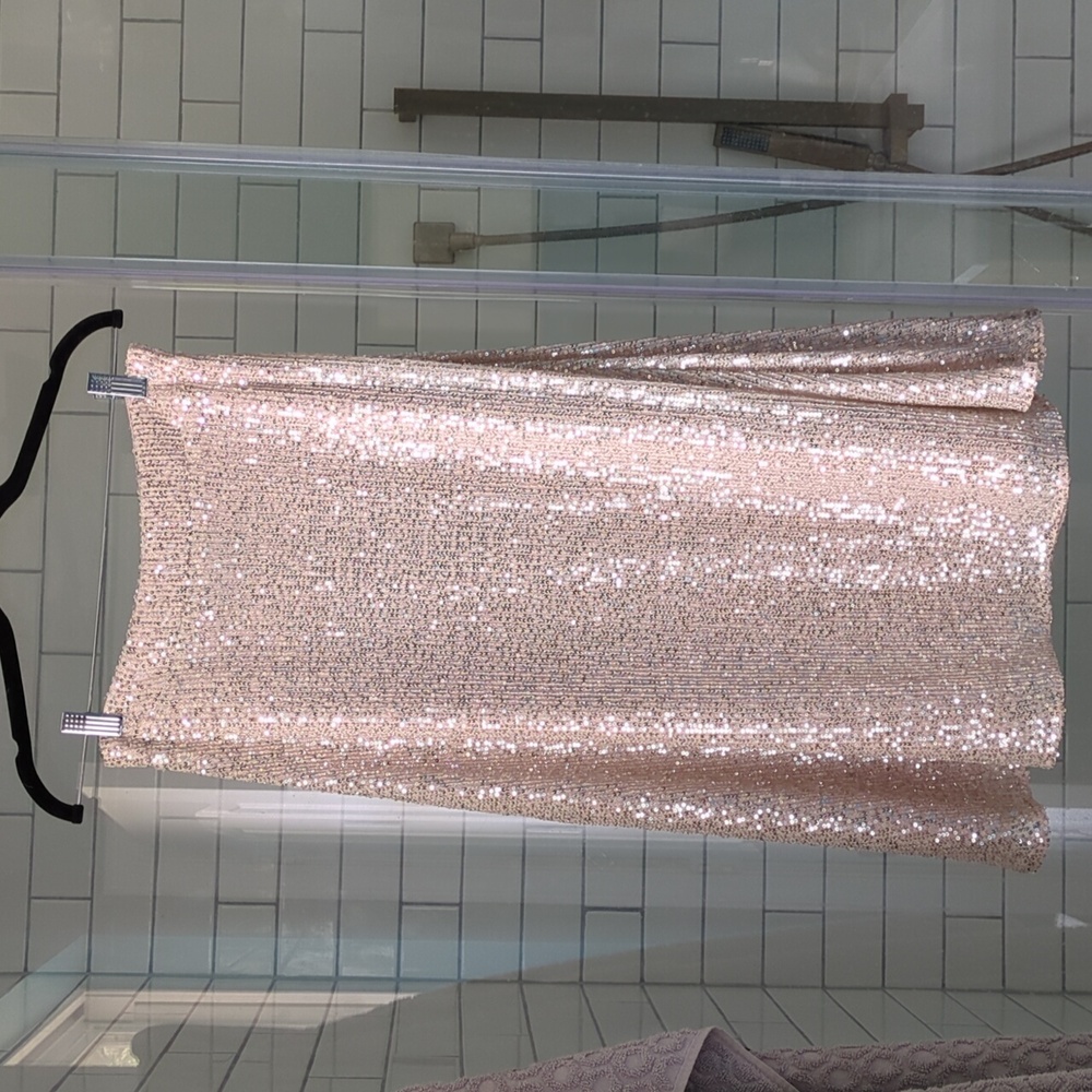 Anthropologie Sequin Skirt